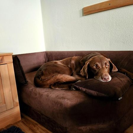 Ferienwohnung Baer Vohenstrauss Dış mekan fotoğraf