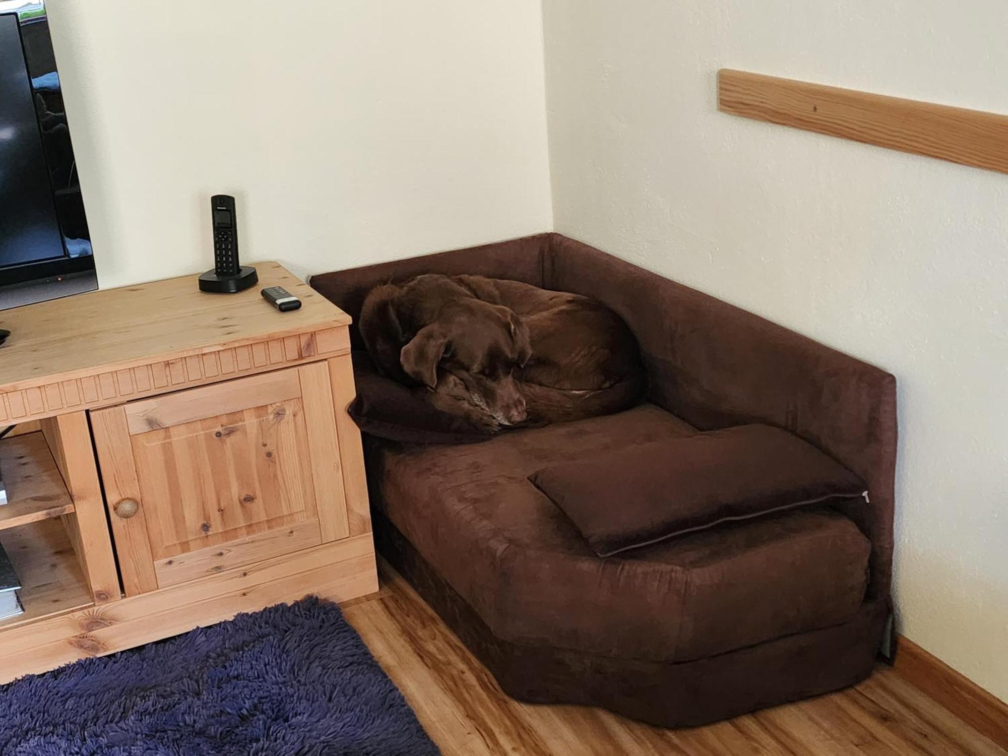 Ferienwohnung Baer Vohenstrauss Dış mekan fotoğraf
